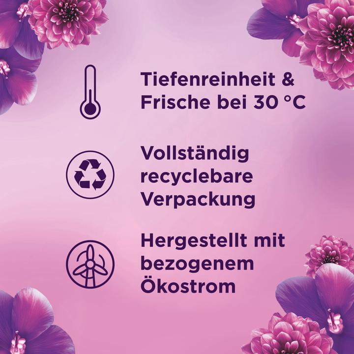 Actual product image Lenor Amethyst Flower Dream (100 Washing cycles, Liquid detergent)