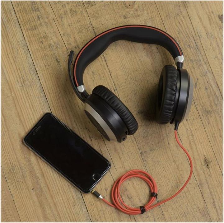Immagine prodotto Jabra Evolve 80 (Cablato, USB-A)