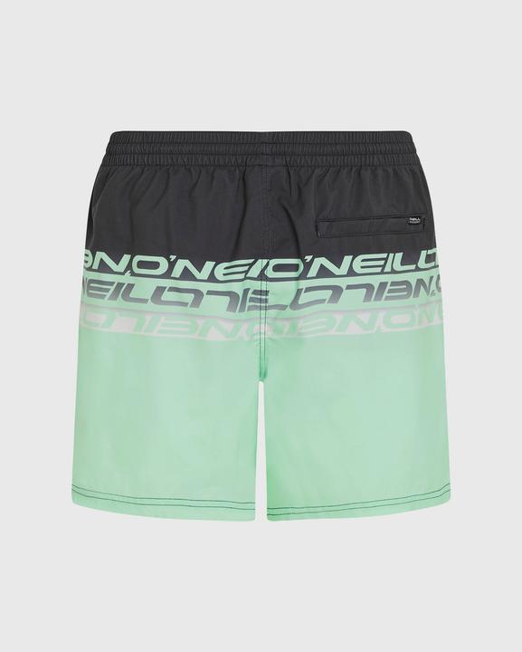 Actual product image O'Neill Cali Stripe 16" Swimshorts (M)