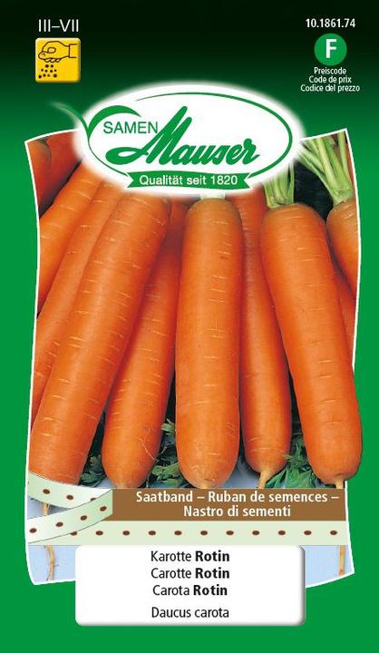 Actual product image Samen Mauser Carrot Rotin Seed Ribbon (Vegetable seeds)