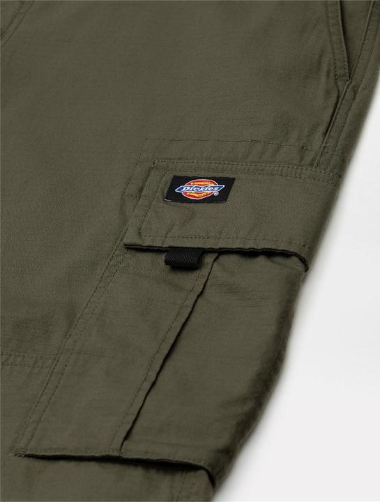 Image du produit Dickies Eagle Bend (33)