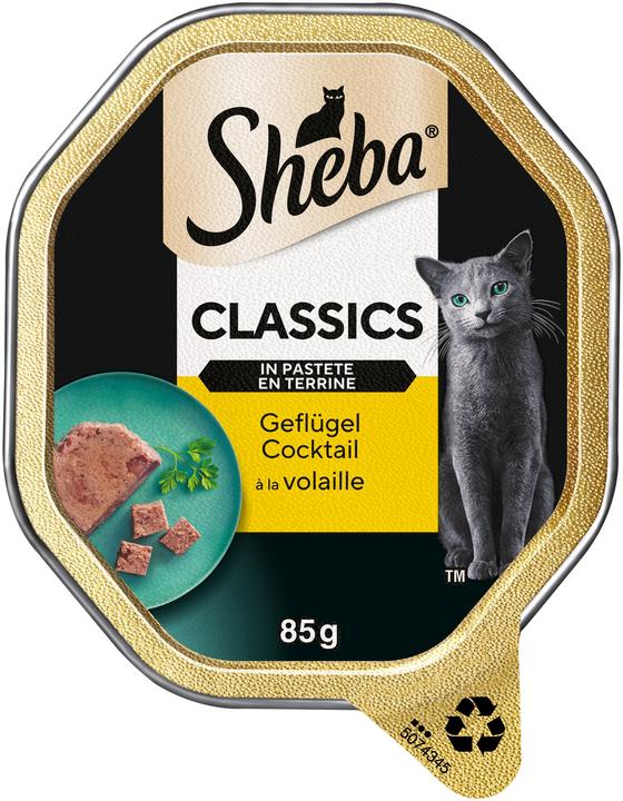 Actual product image Sheba Classics in pâté (Adult, 1 pcs., 85 g)