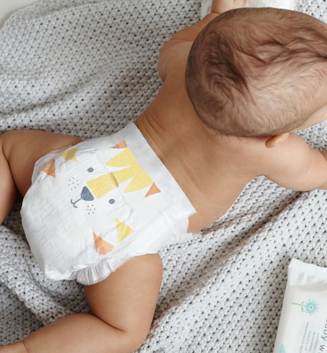 Actual product image Kit & Kin Nappies (Size 2, Monthly box, 160 Piece)