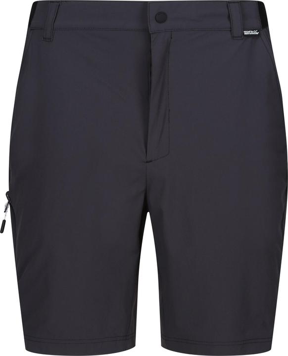 Regatta Travel Light Shorts (38)