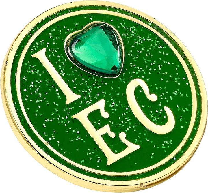 Actual product image Wicked I Love The Emerald City Badge