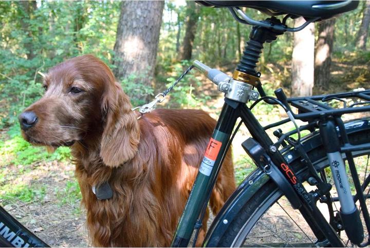Produktbild Dobar Plus (One Size, Hund, Spazieren, Fahrrad)