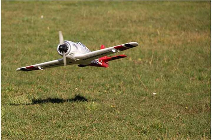 Image du produit Multiplex Race Wulf (Oiseau de guerre)