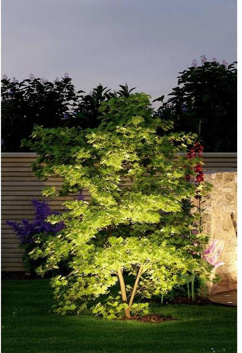 Produktbild Paulmann Outdoor Plug & Shine Sting Starterset (520 lm, IP67)