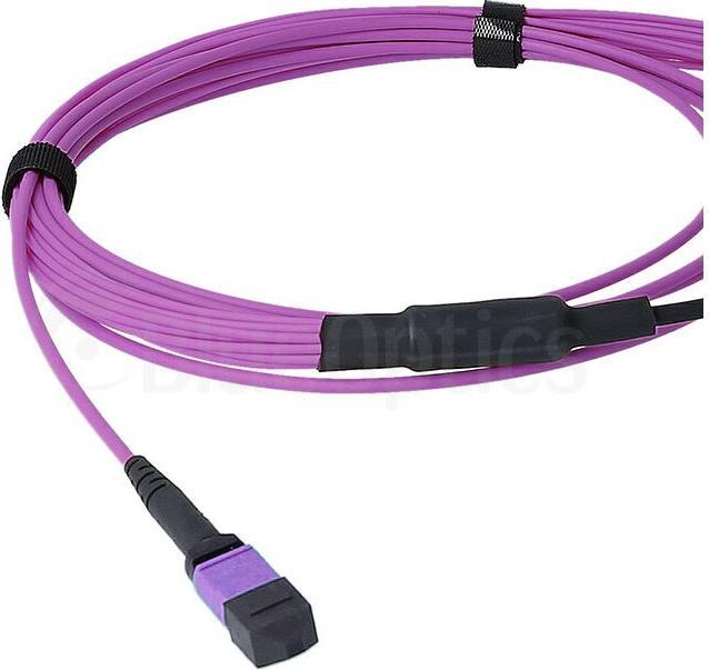 Produktbild BlueOptics LWL MTP/8xLC Duplex Breakout Kabel OM4 1 Meter (1 m)