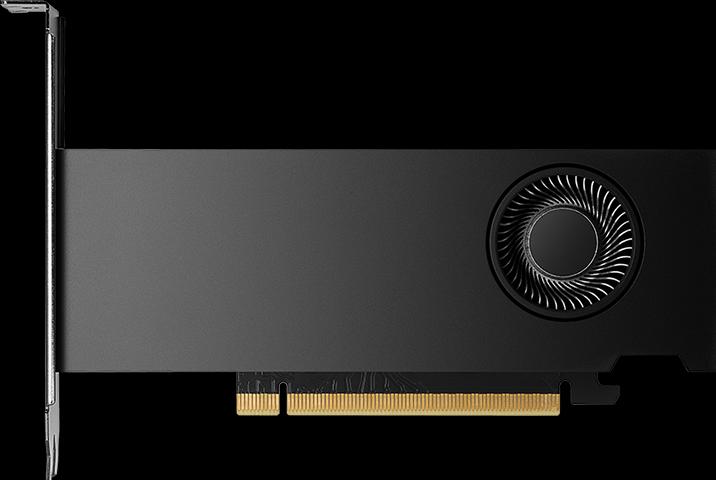 Actual product image PNY RTX 2000 Ada (16 GB)
