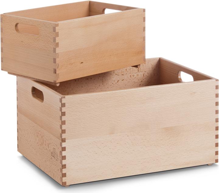 Immagine prodotto Zeller Present Scatola multiuso (40 x 30 x 21 cm, 20 l)