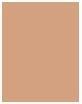 Actual product image Clarins Everlasting Foundation (112.5W Caramel)