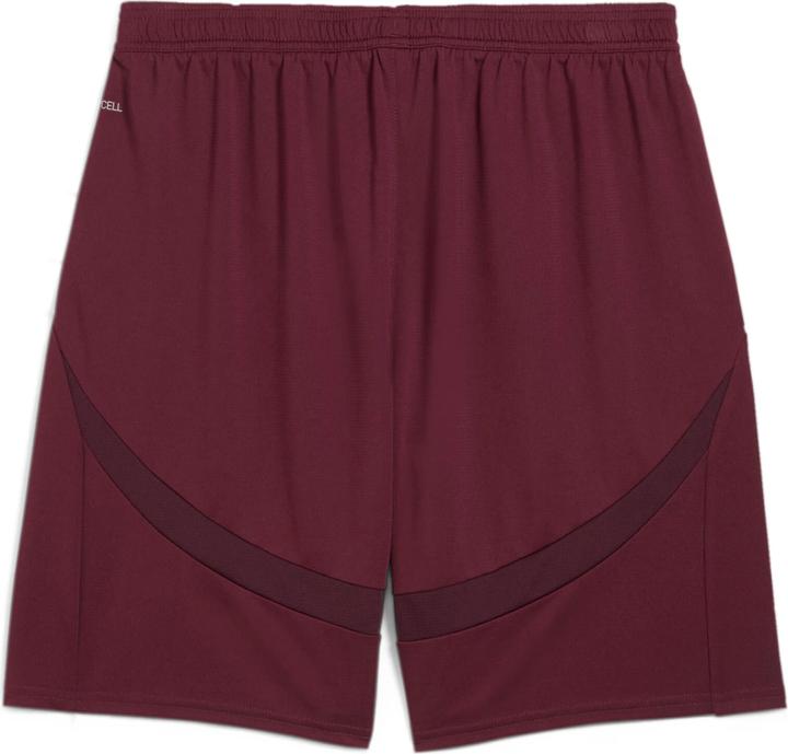 Actual product image Puma MCFC Shorts Replica (M)