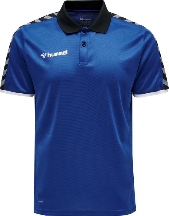 Actual product image hummel Authentic Functional Polo (S)