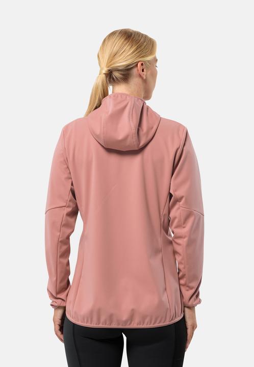 Produktbild Jack Wolfskin Feldberg Hoody W (XS)