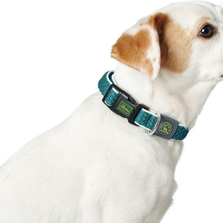 Productafbeelding Hunter Hondenhalsband Hilo Vario Basic (M, Hond, Hondensport)