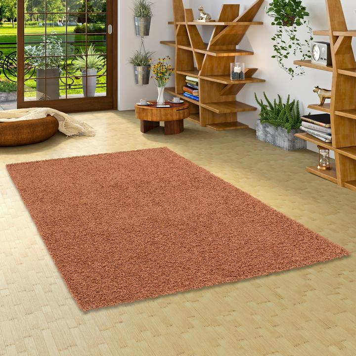 Image du produit Pergamon Tapis Shaggy à poils longs Fluffy (140 x 200 cm)