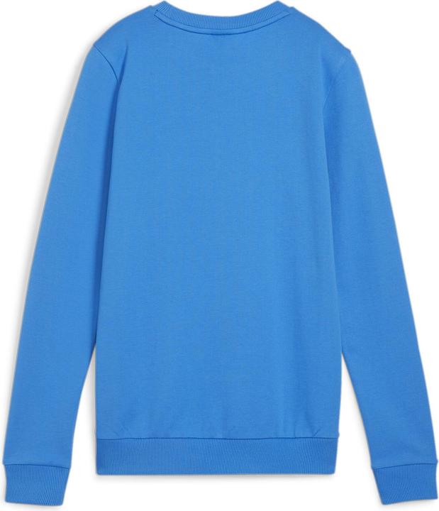Immagine prodotto Puma teamGOAL Casuals Felpa girocollo Wmn (XXL)