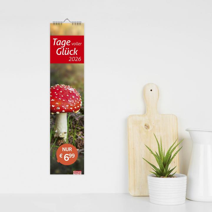 Image du produit times&moreTagevollerGlückLangplaner2026 (11 x 49 cm, Allemand)