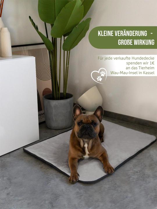 Produktbild Aspero Hundedecke Lund (Hund)