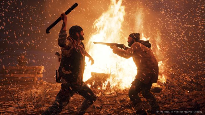 Image du produit Sony Days Gone, PS4 Standard PlayStation 4 (PS4)