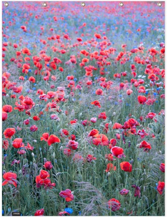 Produktbild Juniqe Poppy Seed Heaven - Mohnblumen (150 x 200 cm)