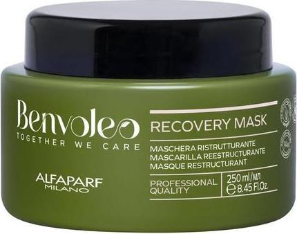 Immagine prodotto Alfaparf Alfa Benvoleo Maschera di recupero 250ml (250 ml)