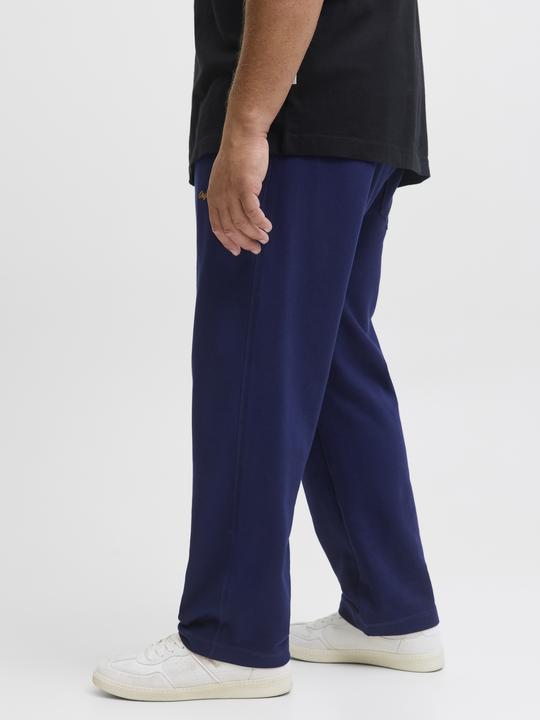 Produktbild Jack & Jones Plus Size Relaxed Fit Relaxed Fit Hosen Relaxed Fit Hosen (42)
