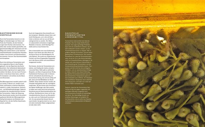 Produktbild Fermentation (Deutsch, Thomas Ruhl, Heiko Antoniewicz, Matthaes, 2021)