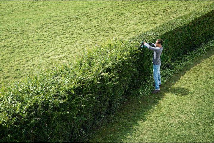 Actual product image Bosch Home & Garden Ahs 50-20 Li (Cordless hedgecutters)