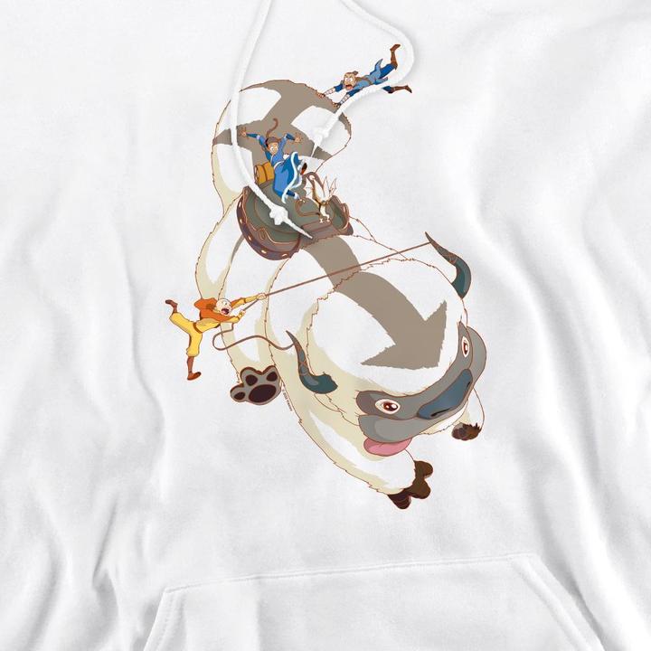 Immagine prodotto Avatar: The Last Airbender Hang On Felpa con Cappuccio Appa Uomo (S)