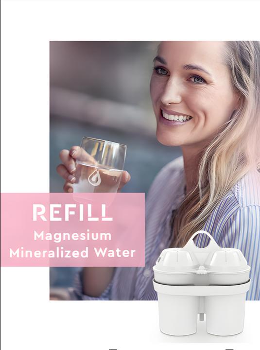 Actual product image BWT Filter cartridges (1 x)