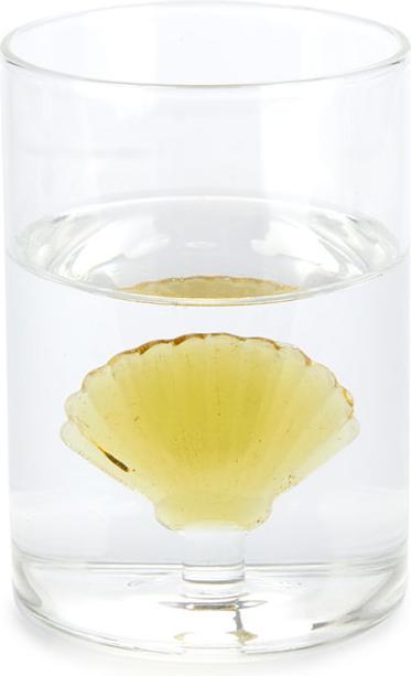 Produktbild Balvi Trinkglas ATLANTIS SHELL (0.30 l, 1 x)