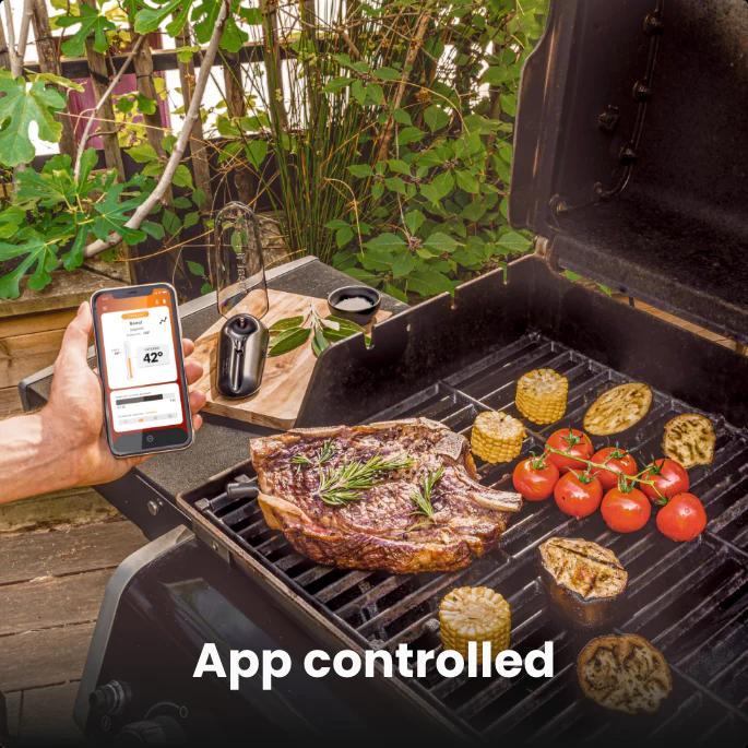 Image du produit Mastrad Meat it plus 2.0 Thermomètre à barbecue Bluetooth