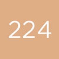 Actual product image Diego dalla Palma Geisha Lifting Fond de Teint No 224 (224)