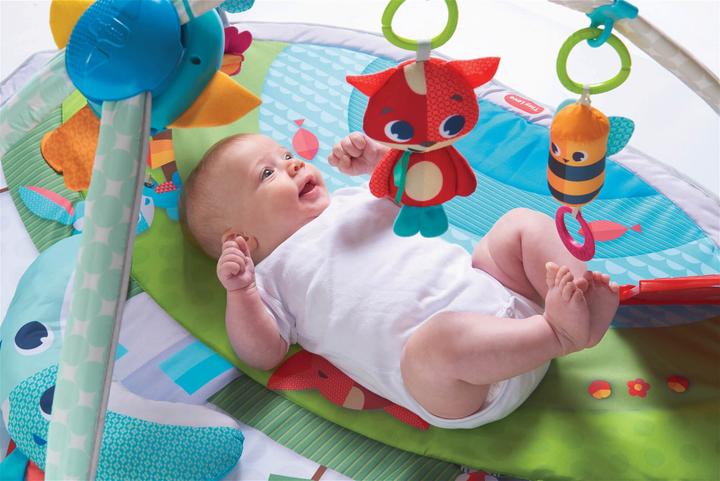 Productafbeelding Tiny Love Dynamische Gymini Weidedagen