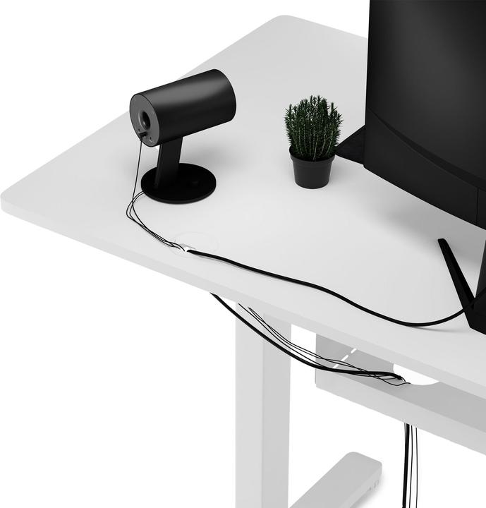 Actual product image Sense7 Nojo