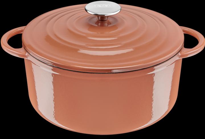 Image du produit Tefal LOV cocotte (25 cm, Cocotte + faitout, Casserole, Fonte)