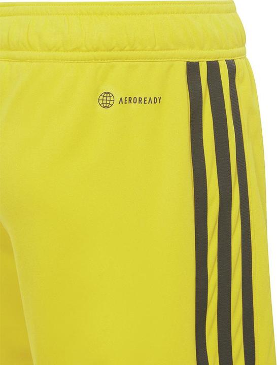 Produktbild adidas Tiro 23 Trainingsshorts Kinder (164)