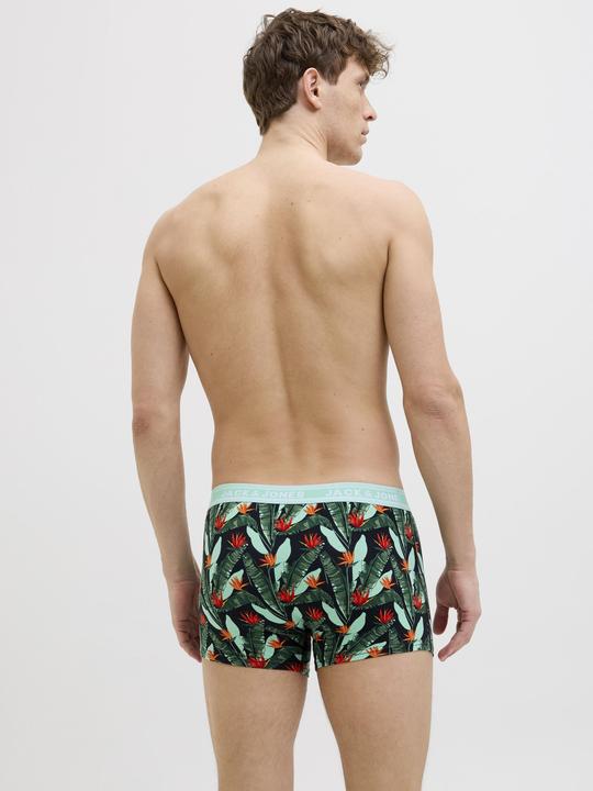 Actual product image Jack & Jones 5er-pack Shorts Shorts (S, 5-pack)