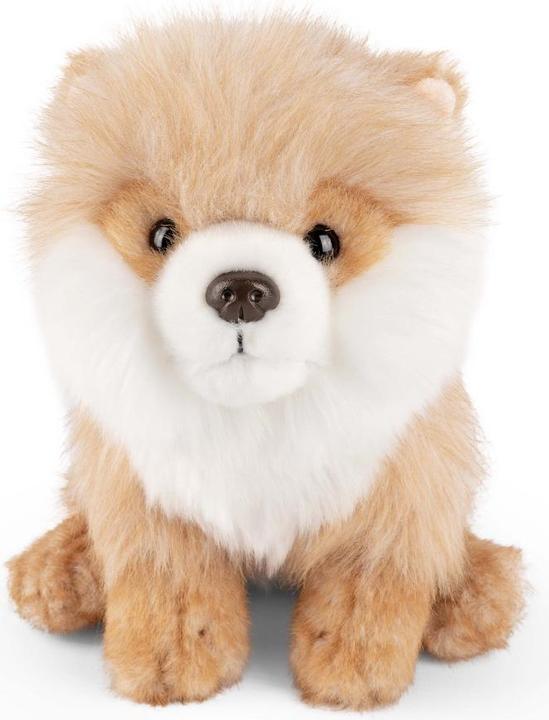 Image du produit Living Nature Spitz nain (20 cm)