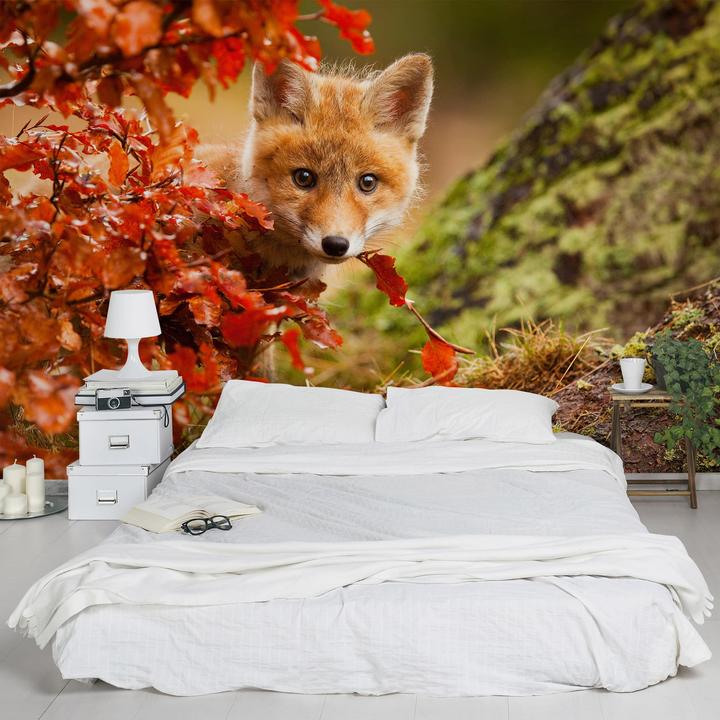 Produktbild Bilderwelten Fuchs im Herbst (432 x 290 cm)