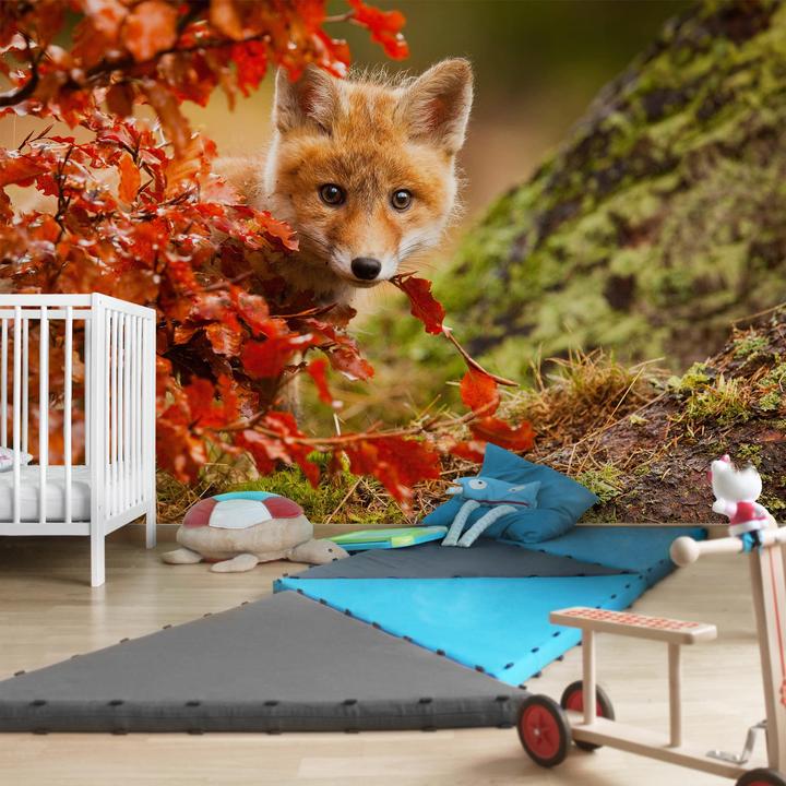 Produktbild Bilderwelten Fuchs im Herbst (432 x 290 cm)