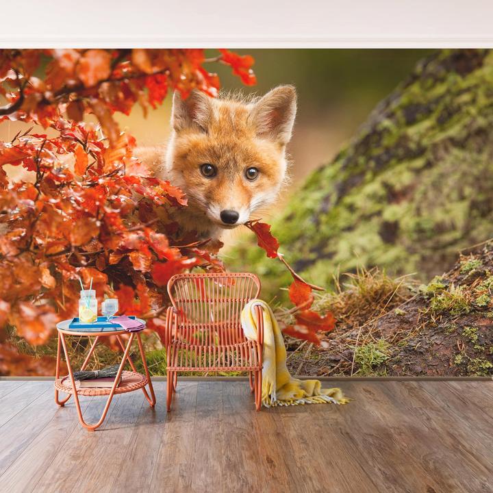 Produktbild Bilderwelten Fuchs im Herbst (432 x 290 cm)