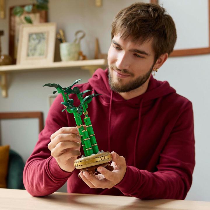 Productafbeelding LEGO Glücks-Bambus (10344, LEGO Icons)