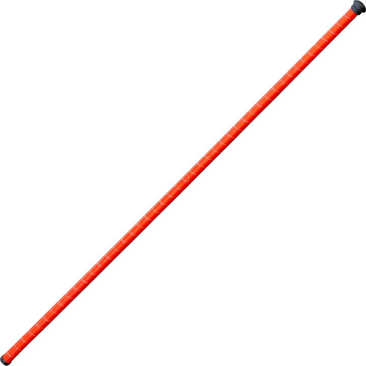 Nordic Sport Sprungstab Jump-Hi (1850 g)