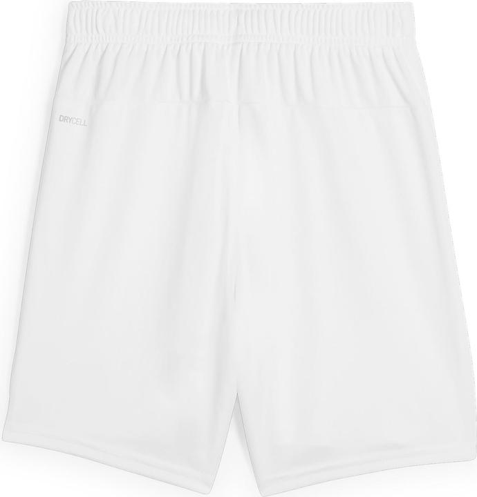 Actual product image Puma teamGOAL Shorts Jr (152)