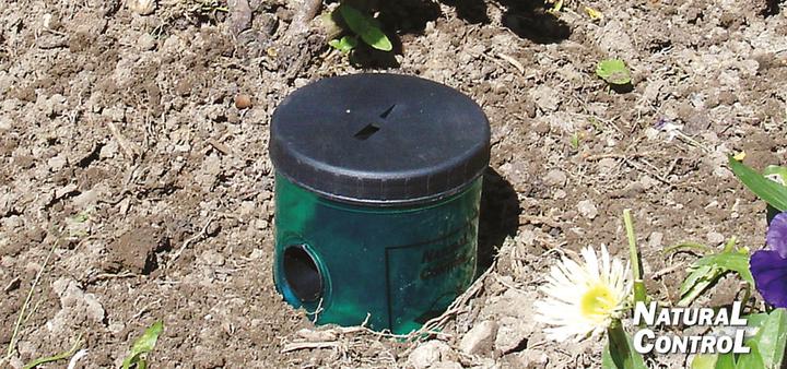 Immagine prodotto Swissinno Trappola per lumache Controllo naturale