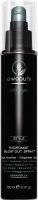 Image du produit Paul Mitchell hydromiste (150 ml)