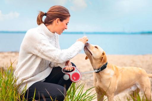 Actual product image Flexi New Comfort belt (XS, Dog, Walks)